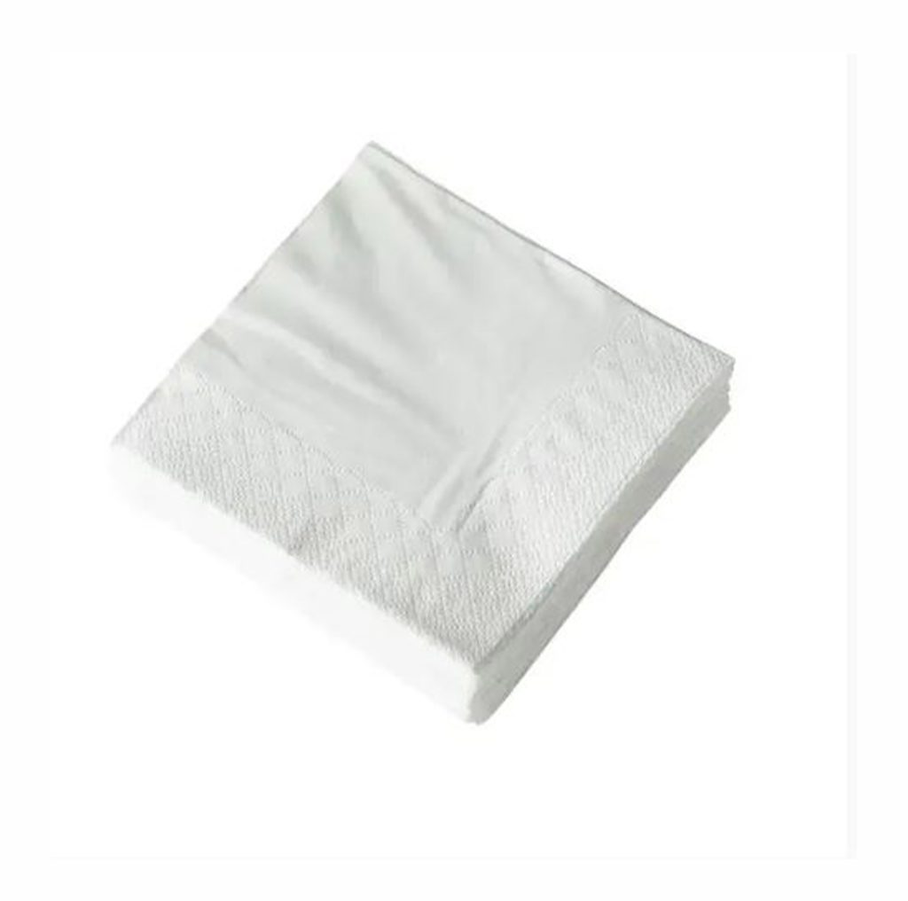 2 Ply Serviettes / napkins - 100 Units