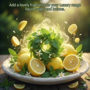 Essential oil - Lemon Verbena 100ml